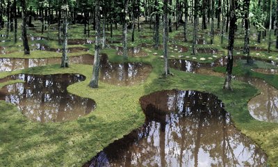 🏞️ 미야히토 강 생태공원(미야히토가와 비오토프) 이미지 4